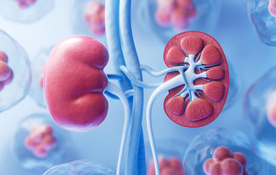 Best Kidney Stone Removal Surgeon in Delhi