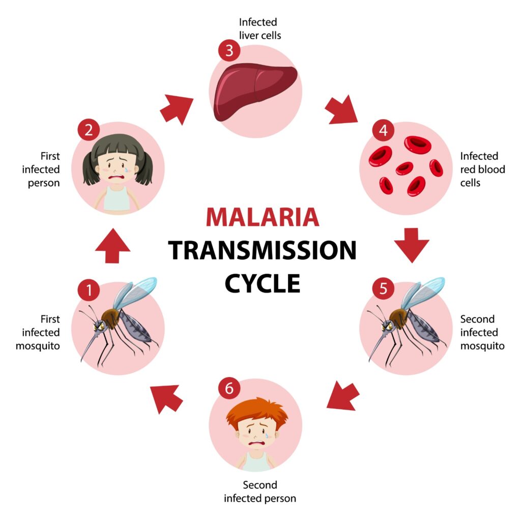 Malaria Treatment